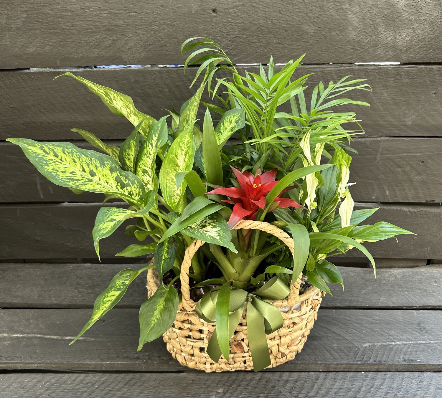 P11 - Mixed Plants in a basket