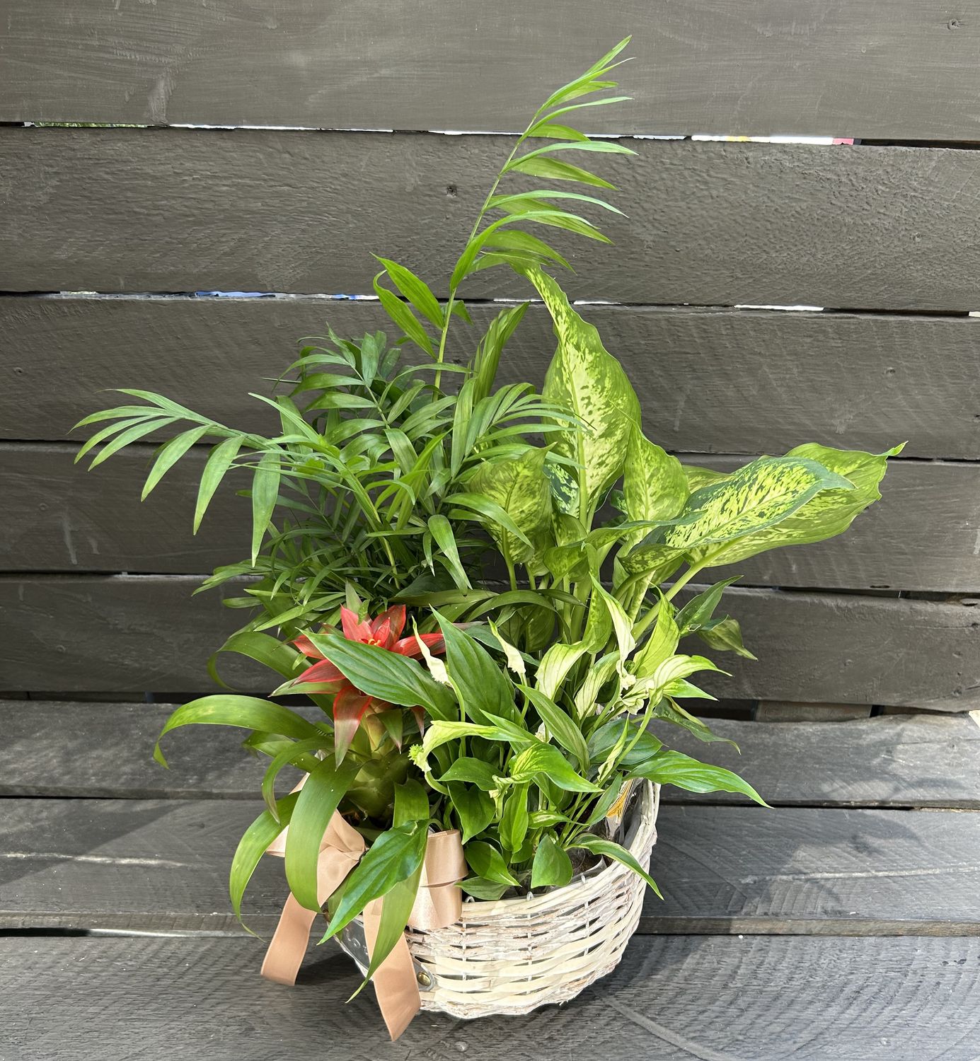 P13 - Mixed Plants in a basket
