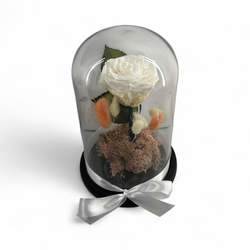 F41 - White Forever Rose in glass