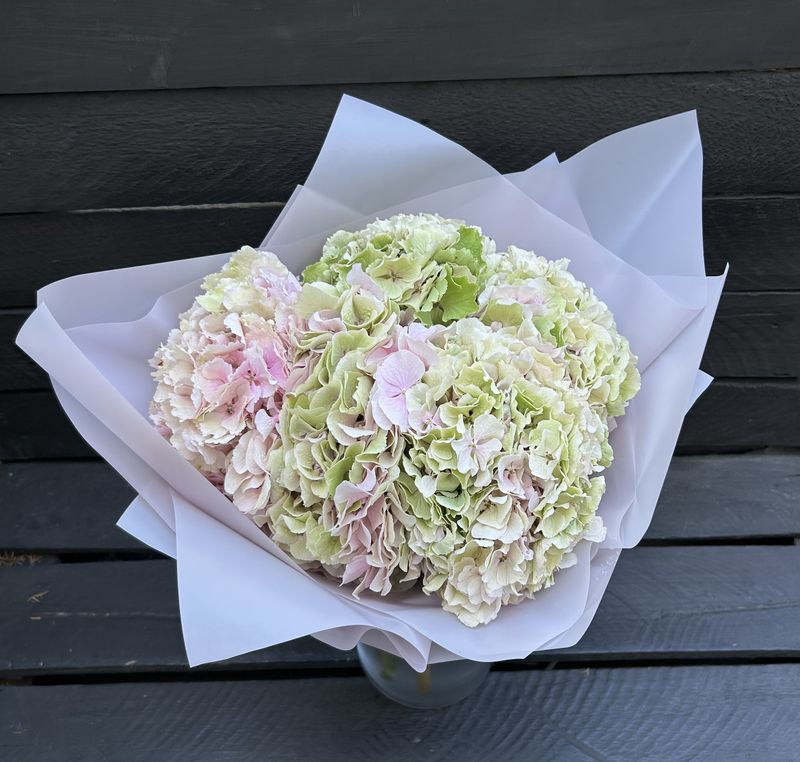 B08 - 5 Hydrangeas Bouquet