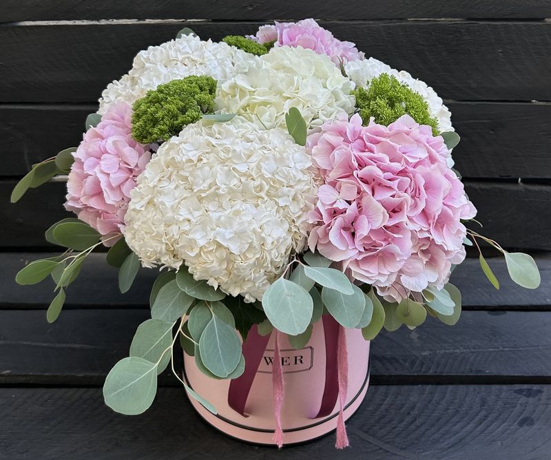 M03 - Mixed Hydrangeas in a box