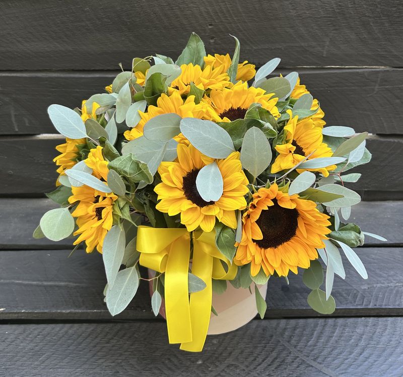 M04 - 11 Sunflowers in a box