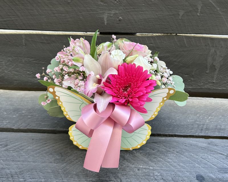 M09 - Mixed Flowers in a butterfly box