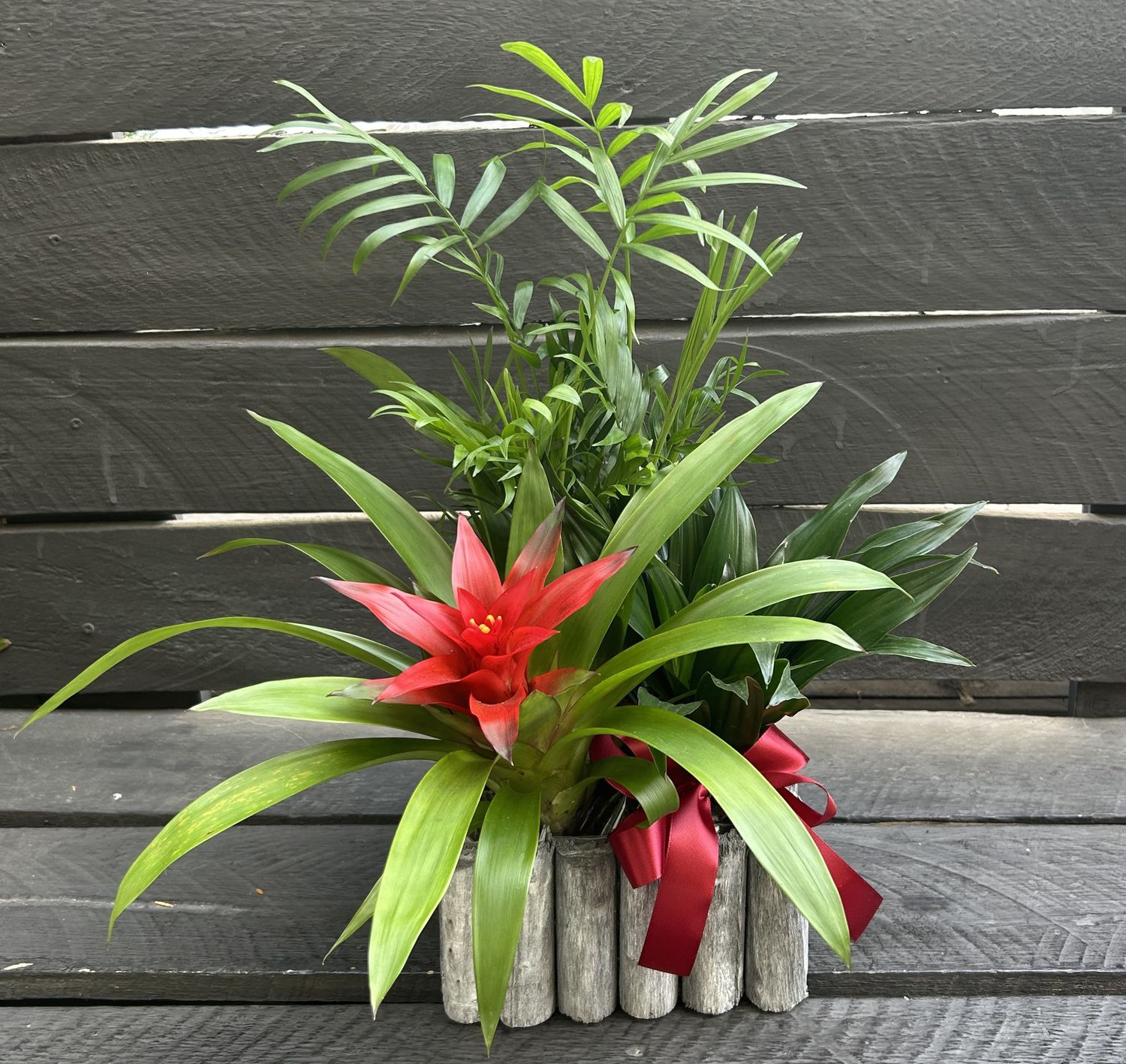 P02 - Mixed Plants in a pot