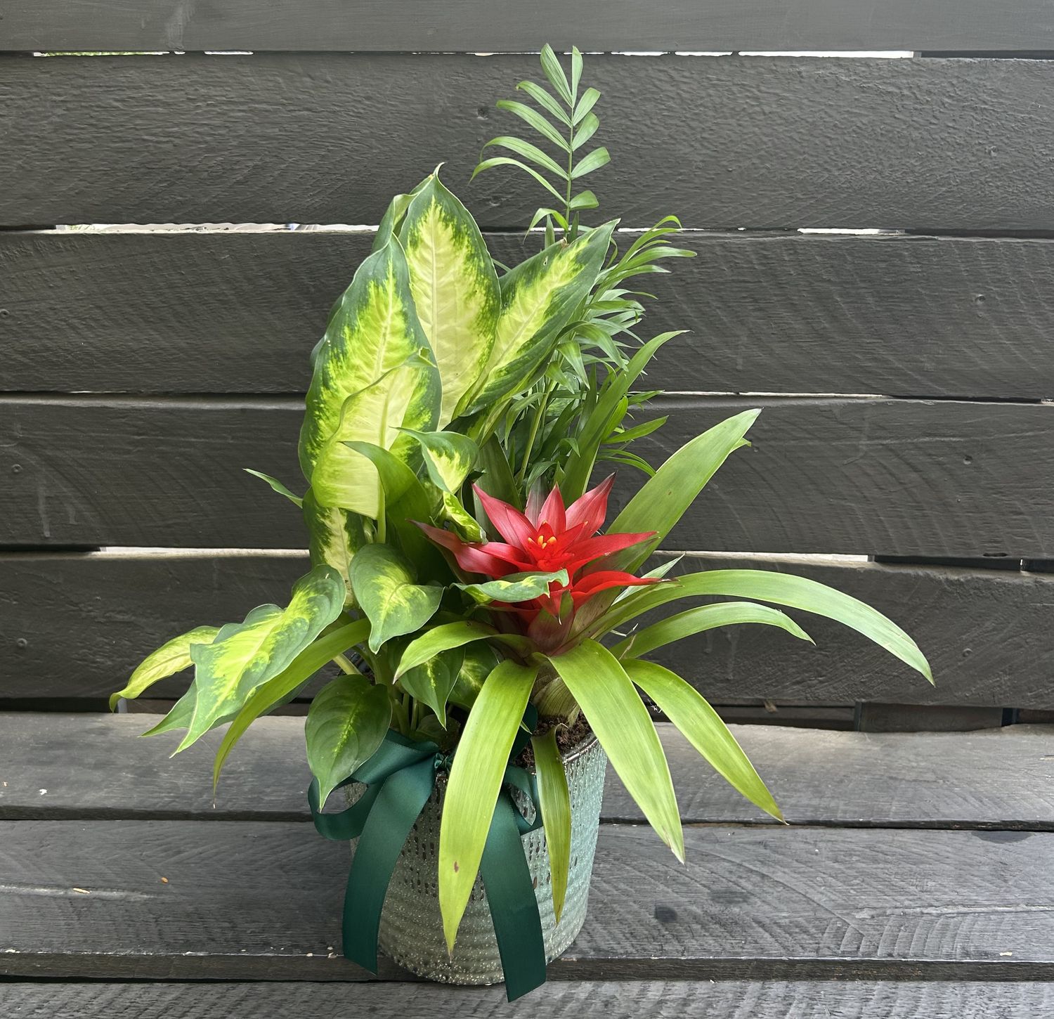 P05 - Mixed Plants in a pot