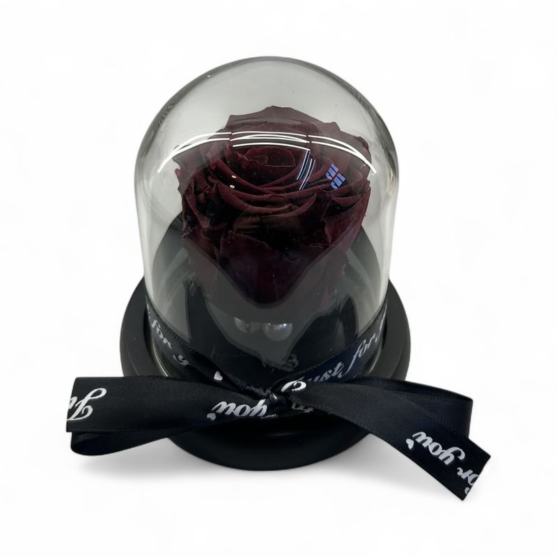 R01 - Bordo Forever Rose in glass