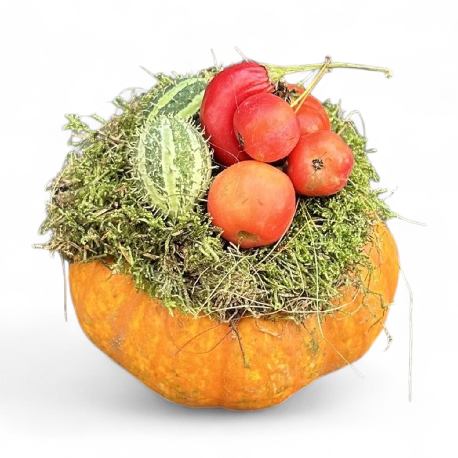 H12 - Decorated Pumpkin (13CM)