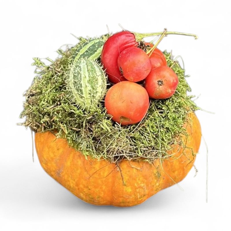 H12 - Decorated Pumpkin (13CM)