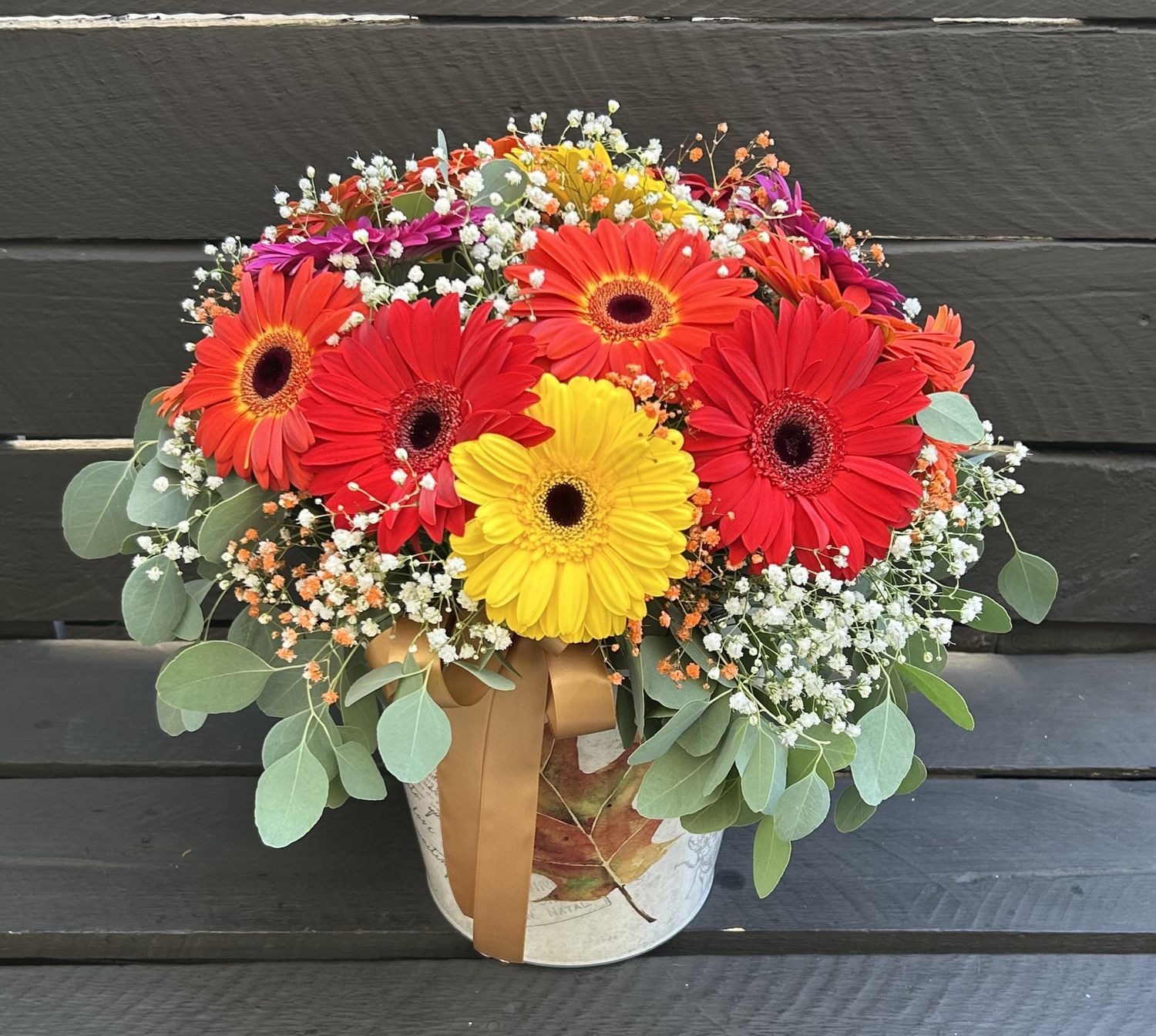 M16 - Gerberas in a pot