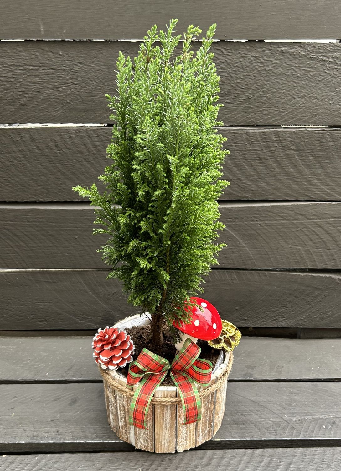 X10 - Christmas Arrangement