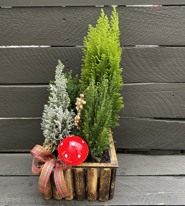 X06 - Christmas Arrangement