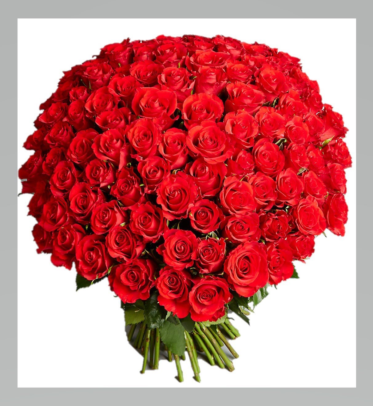 Bouquet with 101 Roses