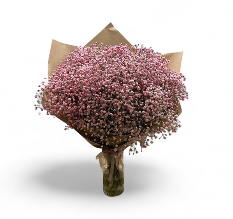 B05 - Pink Gypsophila