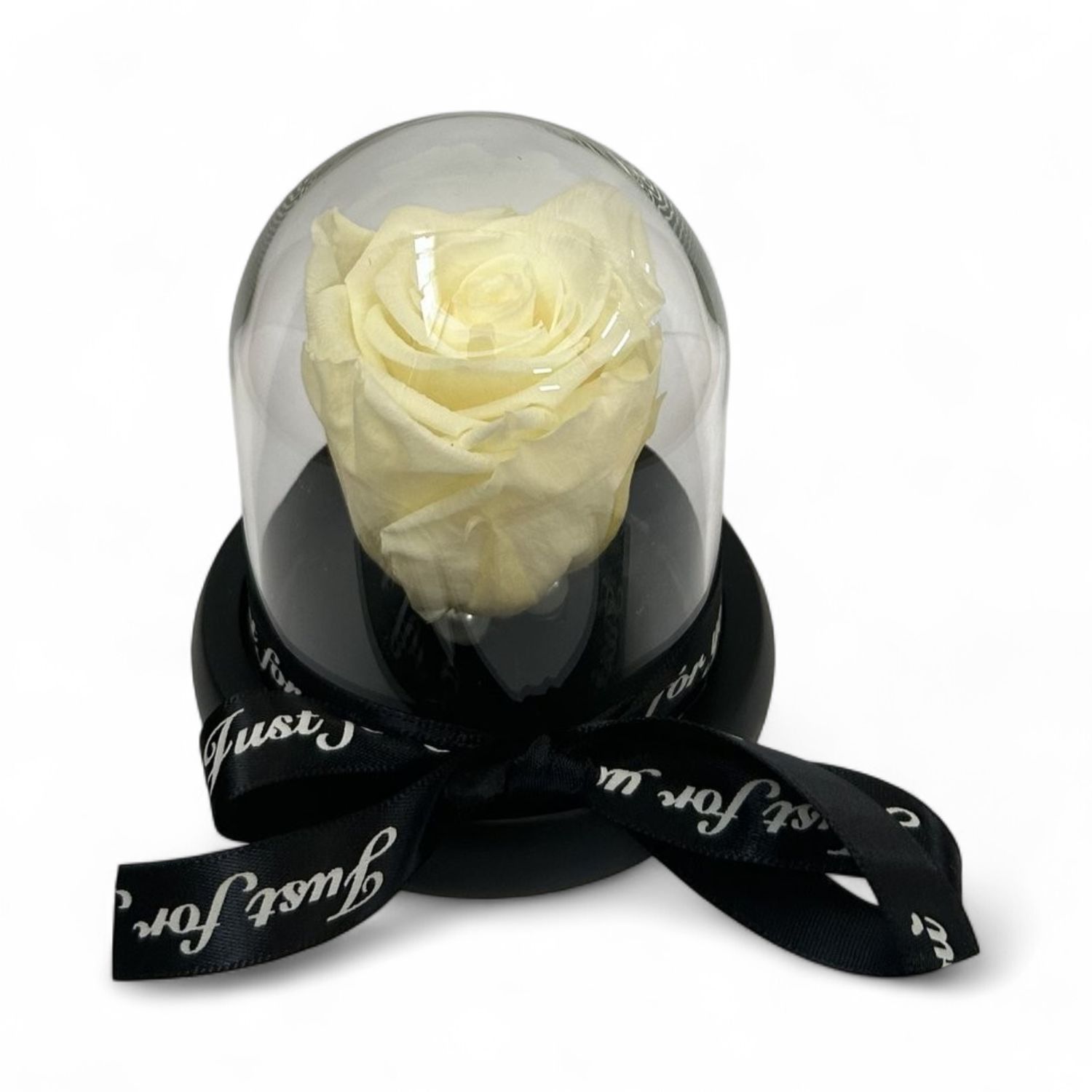 R03 - White Forever Rose in glass (10x11 CM)