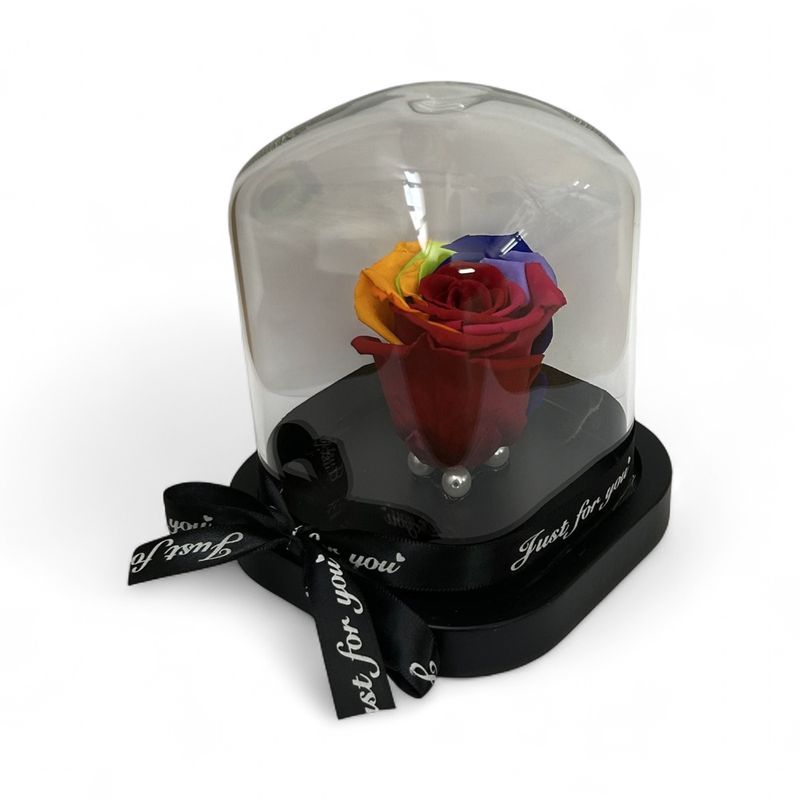 R12 - Rainbow Forever Rose in glass (12x14,5 CM)