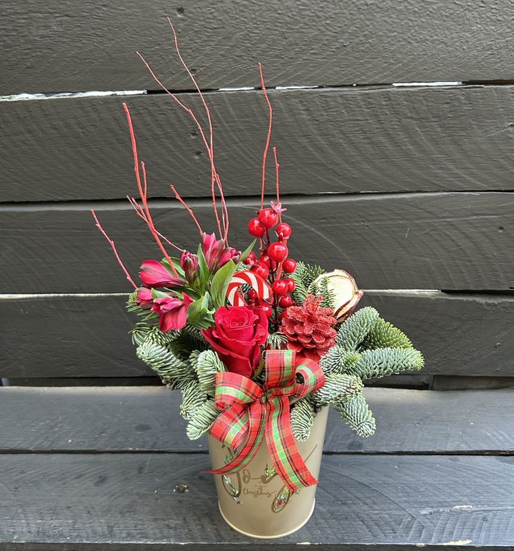 M06 - Mixed Flowers in a pot (christmas vibes)