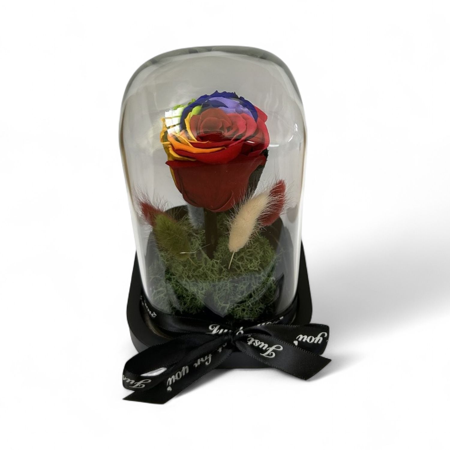 R17 - Rainbow Forever Rose in glass (12x18 CM)