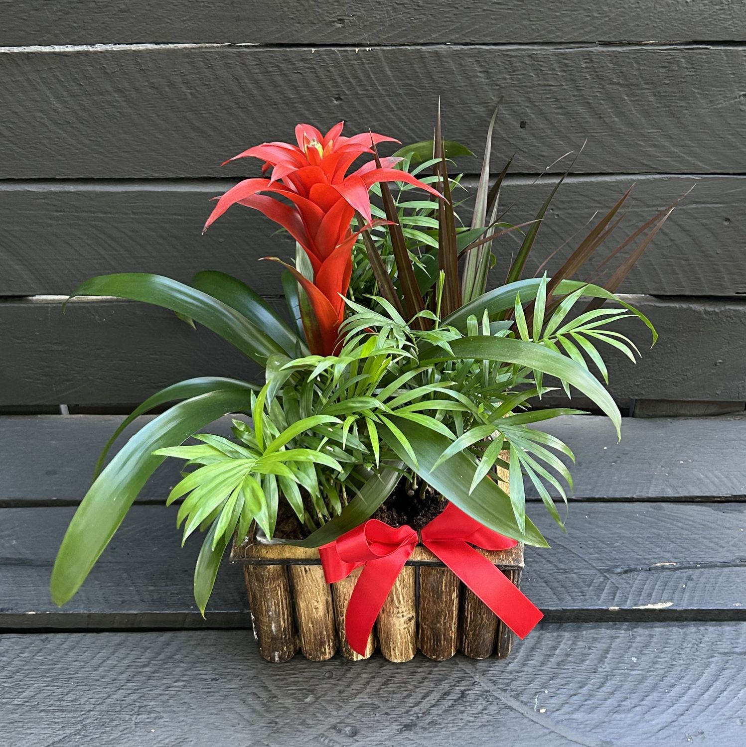 P05 - Mixed Plants in a pot