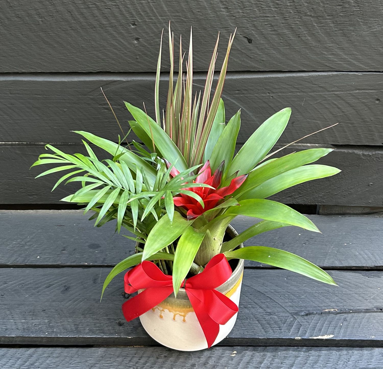 P10 - Mixed Plants in a pot