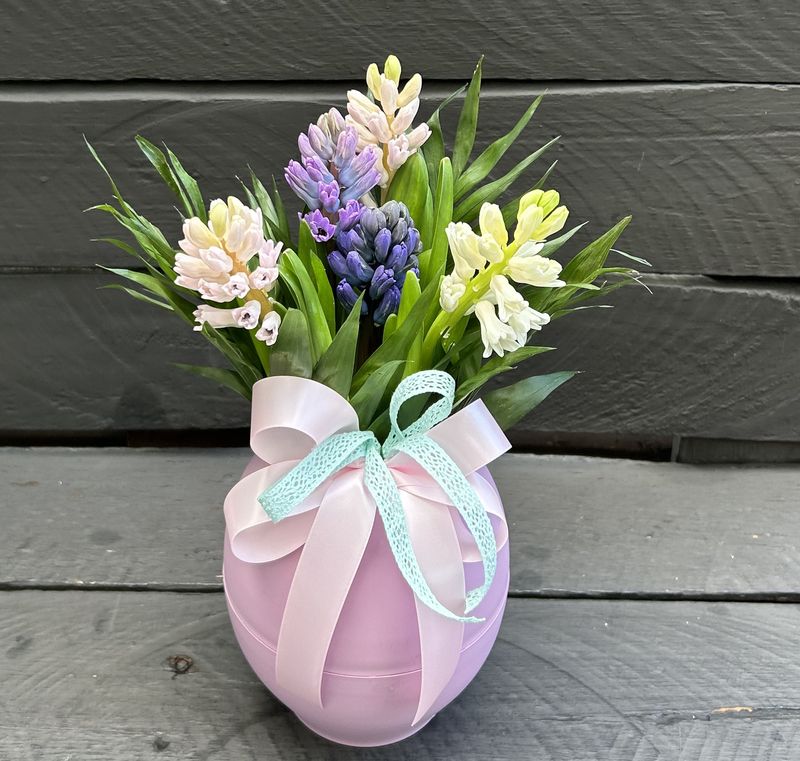 M09 - Hyacinthus in a pot