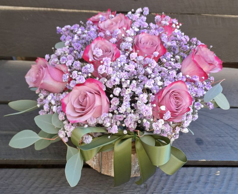 M01 - Purple roses in a pot