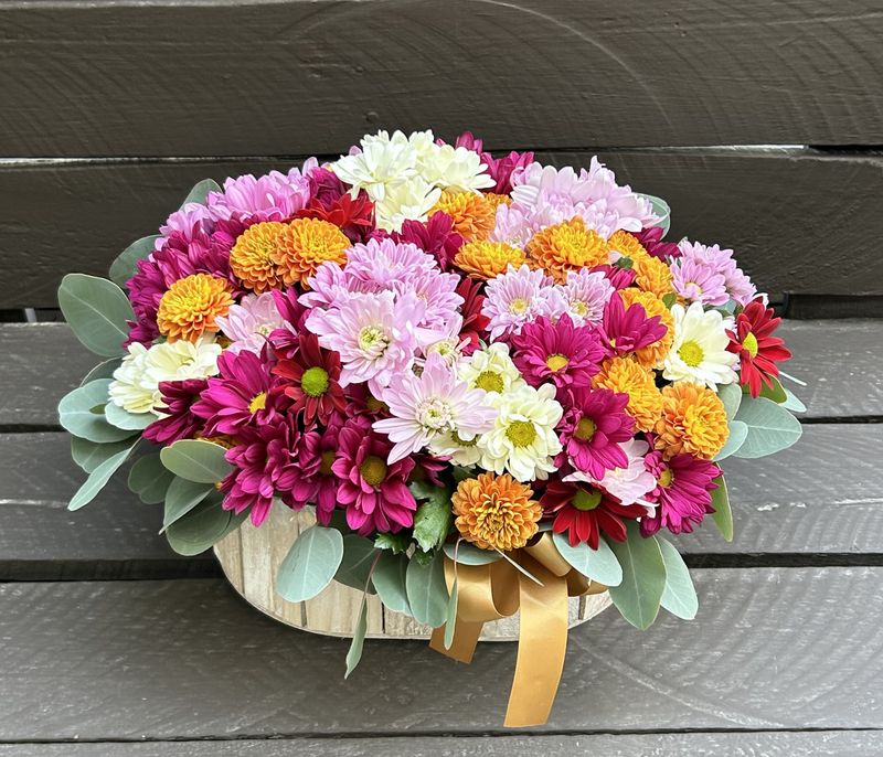 M01 - Mixed Chrysanthemum in a wooden pot
