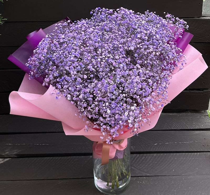 B09 - Purple Gypsophila