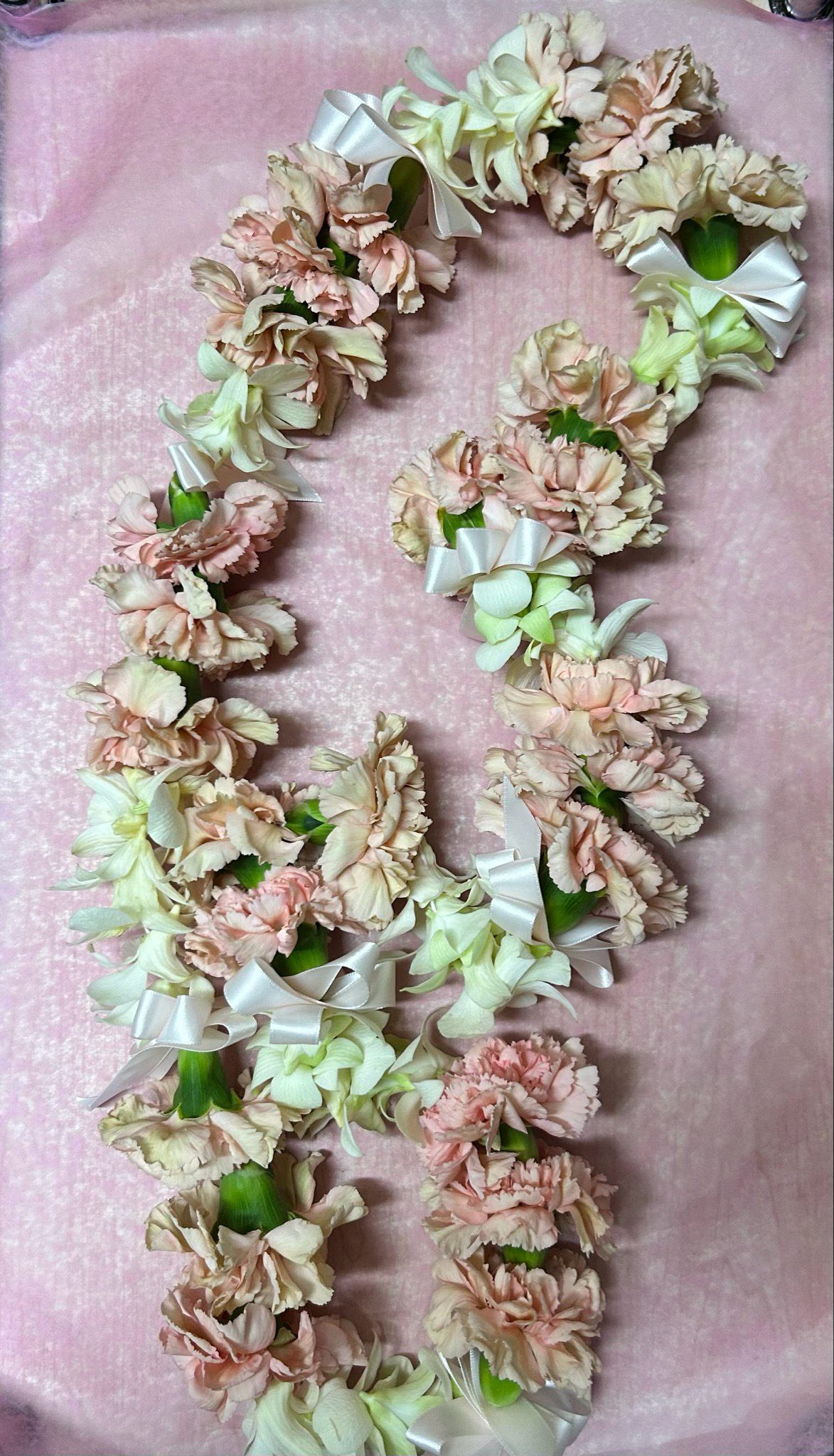 Orchid And Carnation Lei