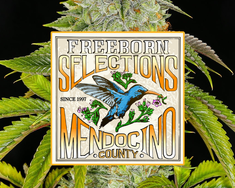 Freeborn Selections Mendocino County, California