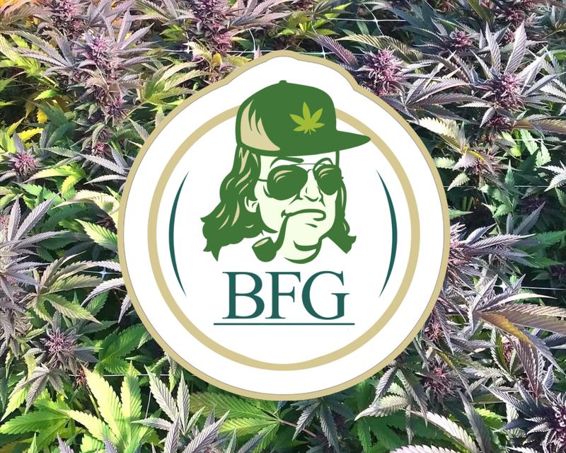 BFG Genetics Humboldt County. THCV Project.