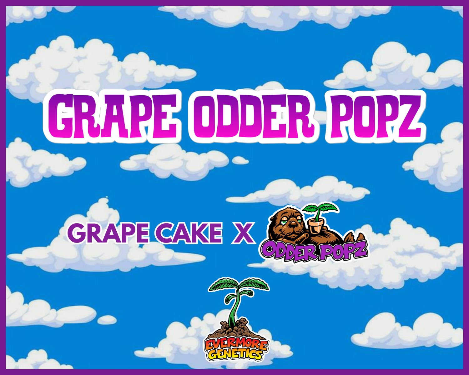 Grape Odder Popz (Grape Cake x Odder Popz) Feminized