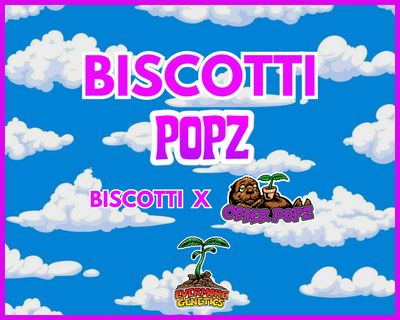 Biscotti Popz (Biscotti x Odder Popz)