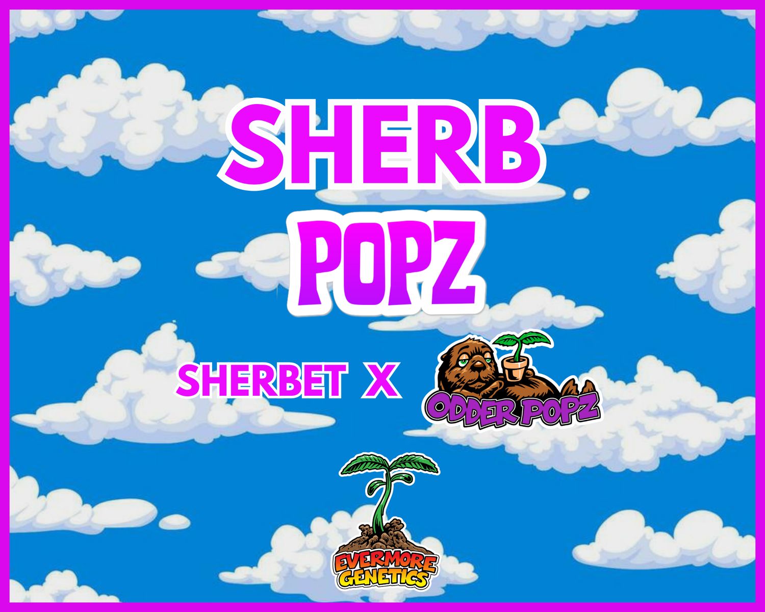 Sherb Popz (Sherbet x Odder Popz)
