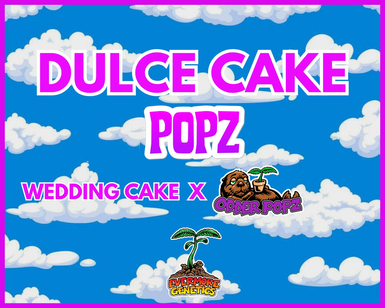 Dulce Cake Popz (Wedding Cake x Odder Popz) x (Do Si Do x Pan Dulce)