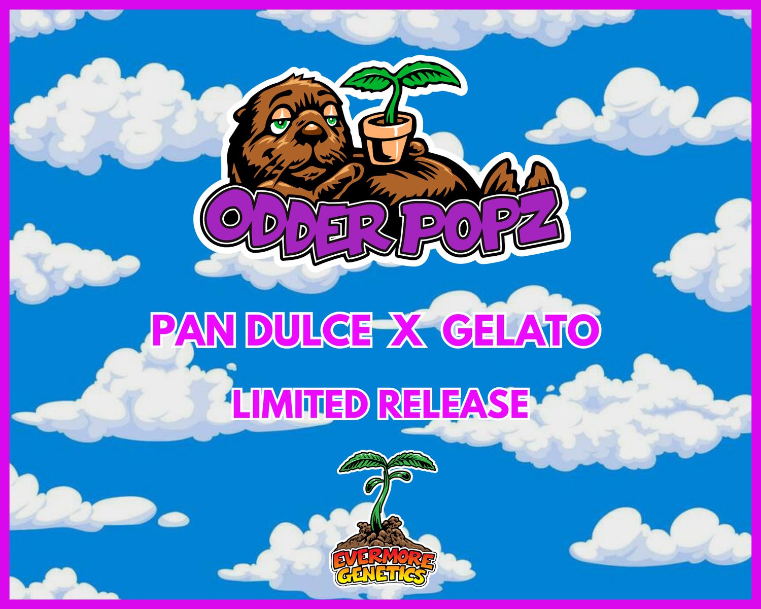 Odder Popz (Pan Dulce x Gelato) Feminized Limited Release
