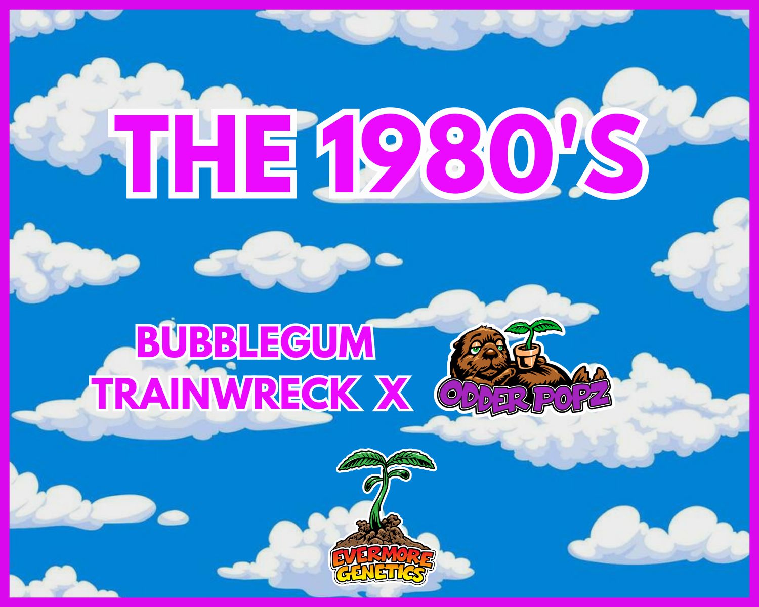The 1980&#39;s (Bubblegum Trainwreck x Odder Popz) Feminized