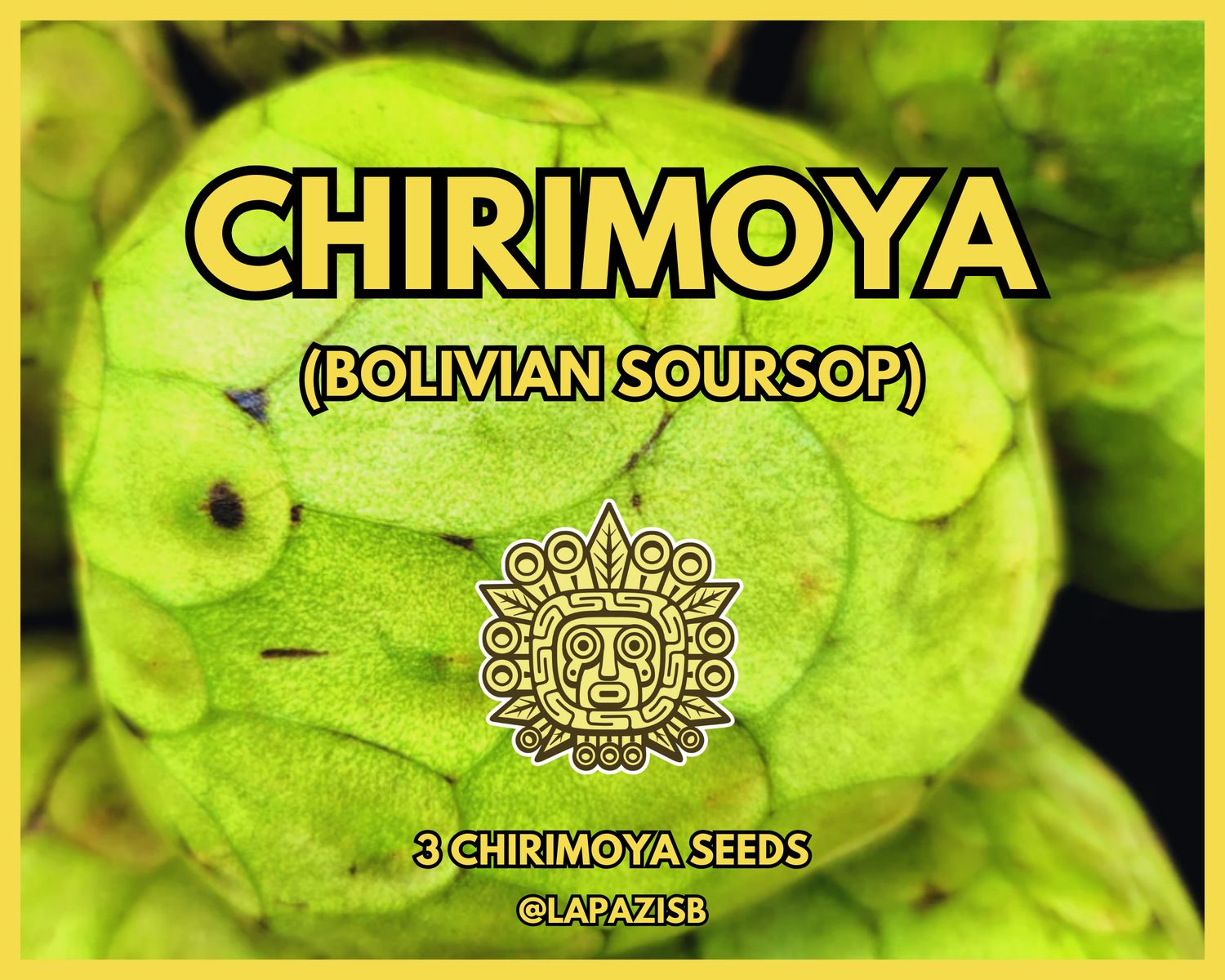 Chirimoya (Bolivian Soursop)