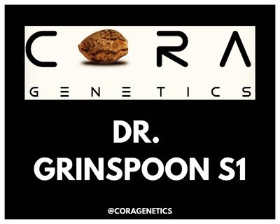 Dr. Grinspoon S1 Pure Heirloom Sativa