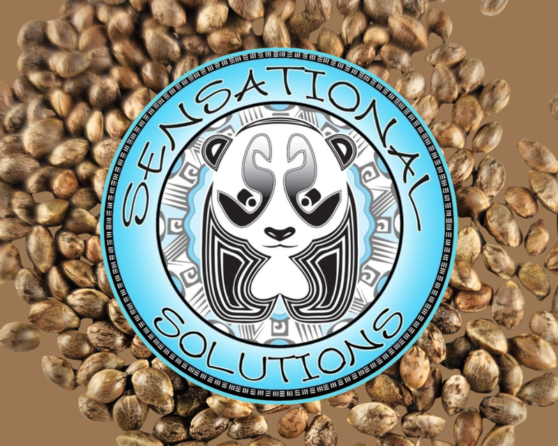 Sensational Solutions Humboldt County