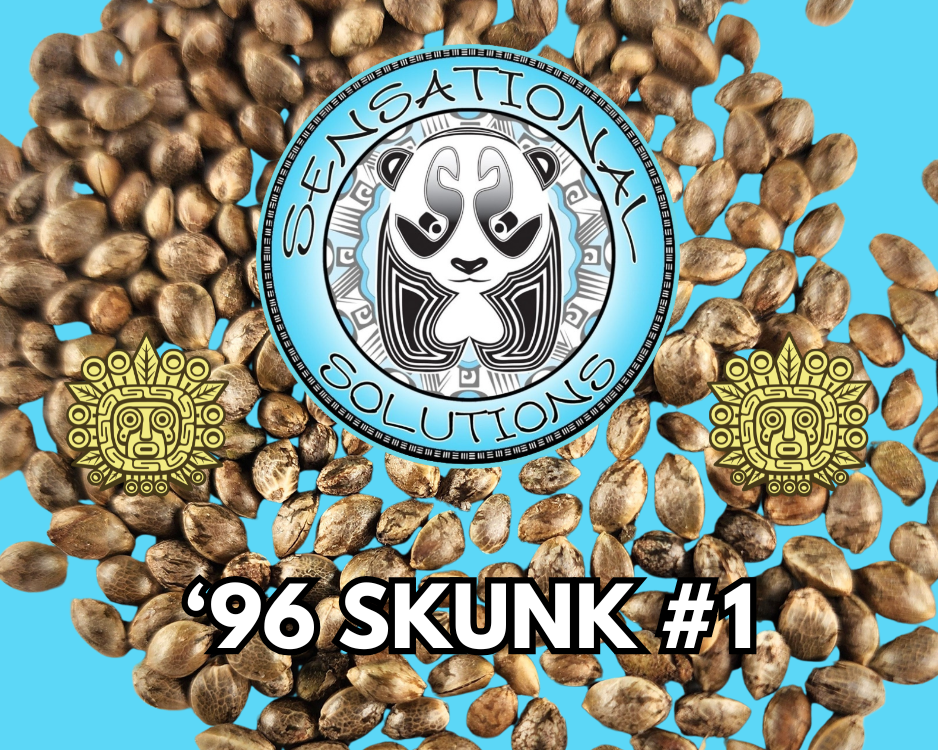 &#39;96 Skunk #1