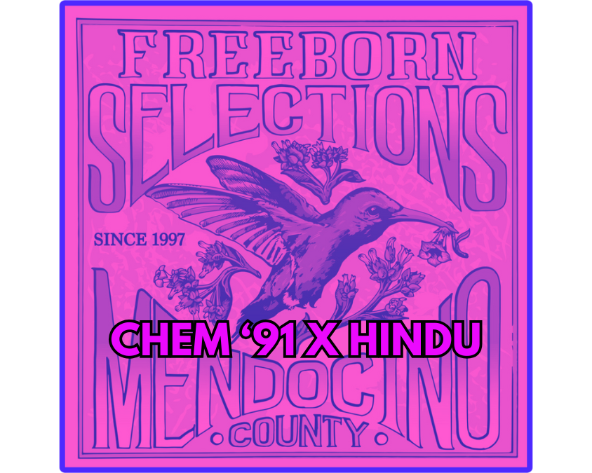 Chem &#39;91 x Hindu