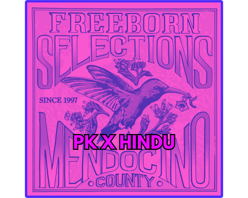 PK x Hindu