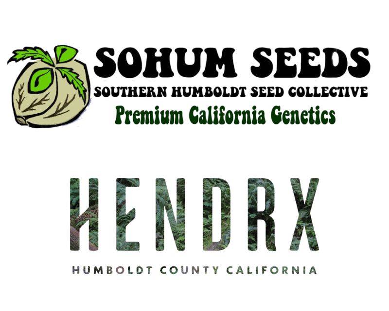 Sohum Seeds. Hendrx Farm. Humboldt County