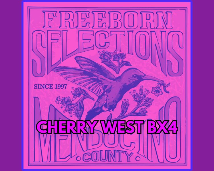 Cherry West BX4