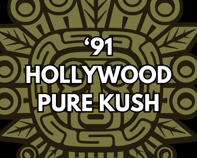 &#39;91 Hollywood Pure Kush Clone