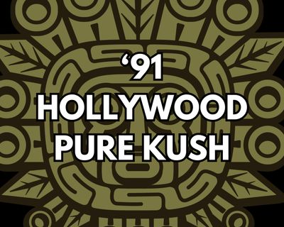'91 Hollywood Pure Kush Clone