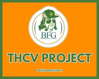 BFG THCV Seed Increase Project