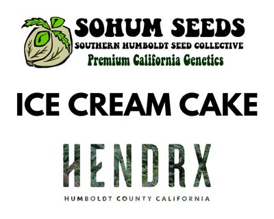 Ice Cream Cake Alpha Cut Feminized