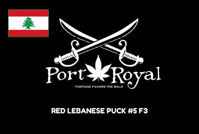 Red Lebanese Puck F3 #5