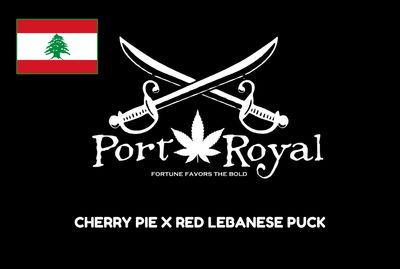 Cherry Pie x Red Lebanese Puck
